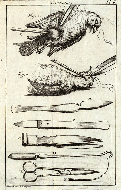 fig3