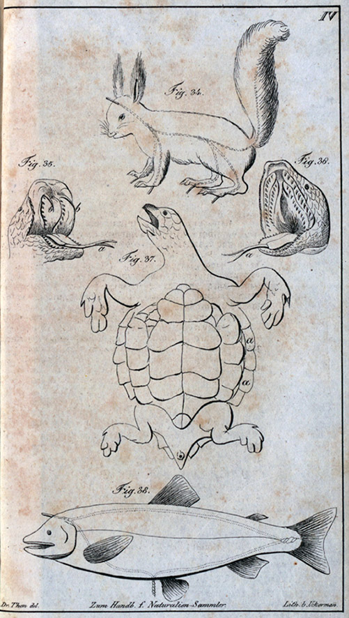 fig4
