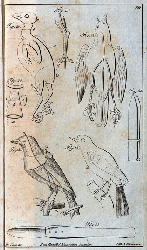 fig5